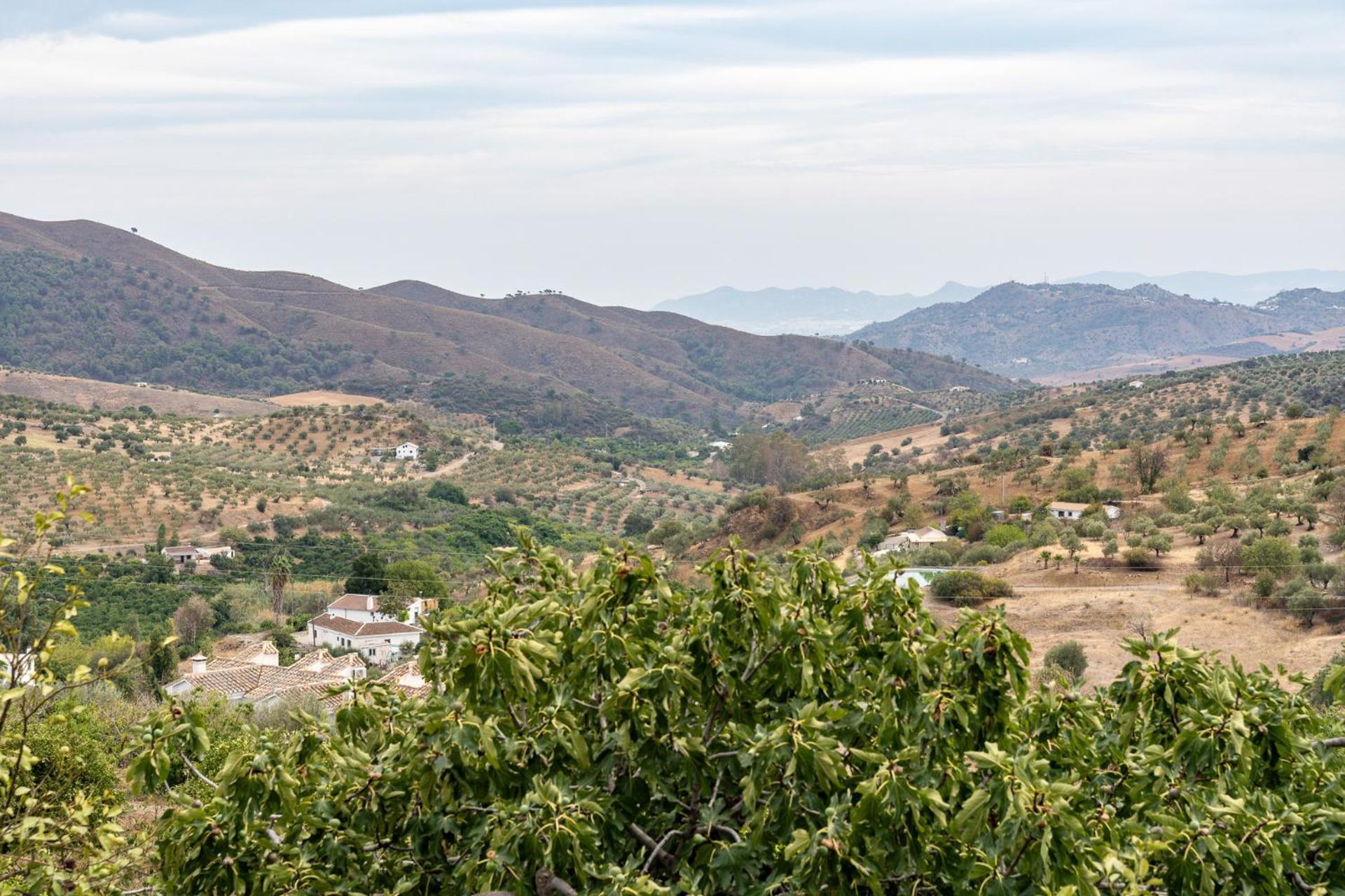 Malagasuite Cortijo Robles 카사라보넬라 외부 사진